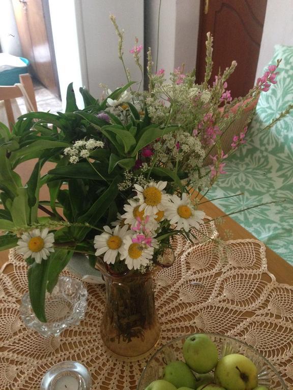 Eco Garten Guest House Шкодер Экстерьер фото