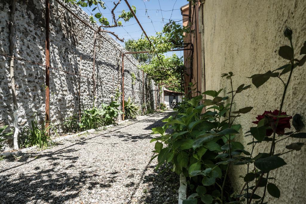 Eco Garten Guest House Шкодер Экстерьер фото