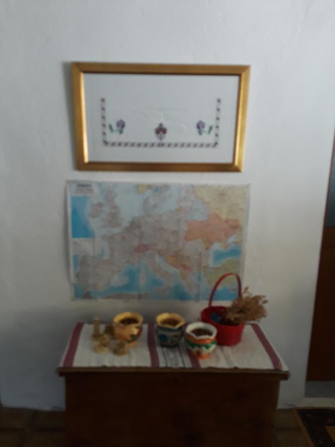 Eco Garten Guest House Шкодер Экстерьер фото
